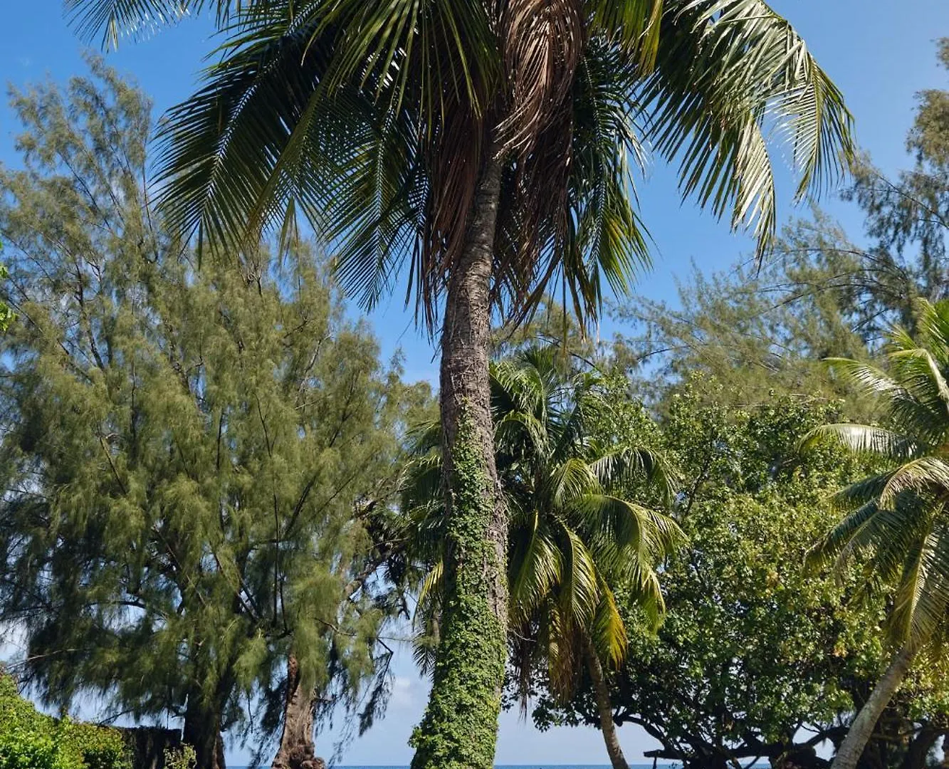 Villa Te Torea Arue  0*, Arue (Tahiti)