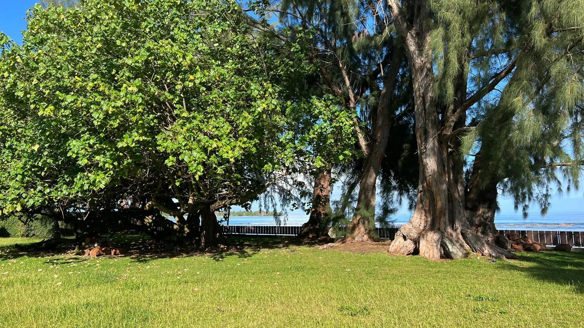 Villa Te Torea Arue  French Polynesia